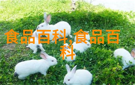 做鱼丸的技巧与讲究鱼丸的功效与作用